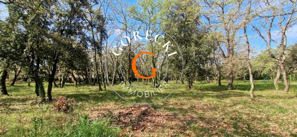 Saint-Siffret (30700) A vendre à Saint-siffret, beau terrain à bâtir viabilisé au coeur d'une chênaie.