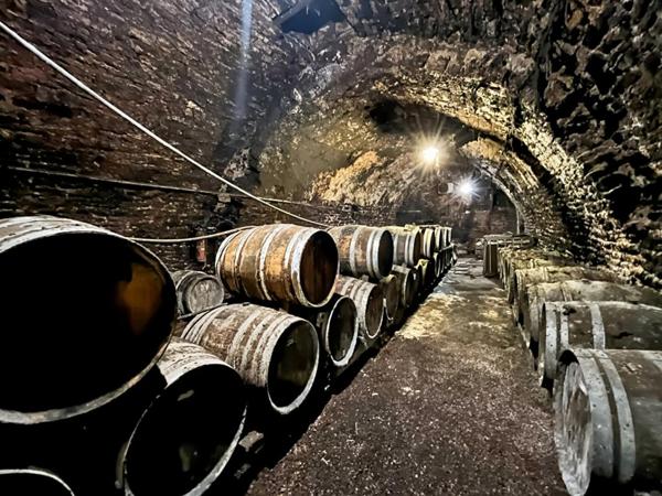 Arbois - Maison de Ville - 335 m2 - 6 chambres  en coeur de ville