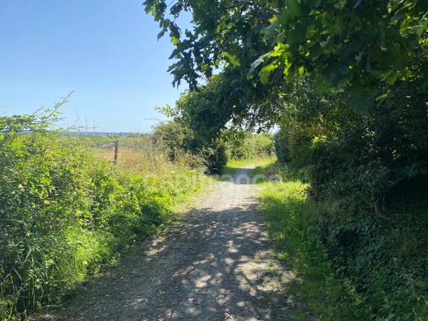 Maison à vendre 7 pièces (56)