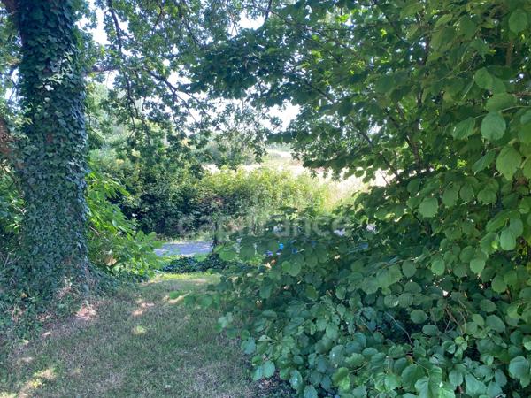 Maison à vendre 7 pièces (56)