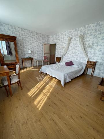 Maison de Maître à Poncé sur le Loir (72340) avec dépendances et terrain