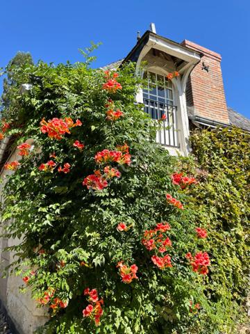 Maison de Maître à Poncé sur le Loir (72340) avec dépendances et terrain