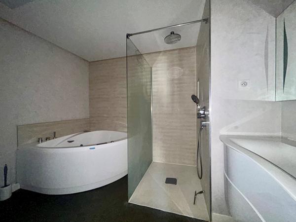 APPARTEMENT TYPE 3 - POITIERS CENTRE-VILLE Poitiers (86000)