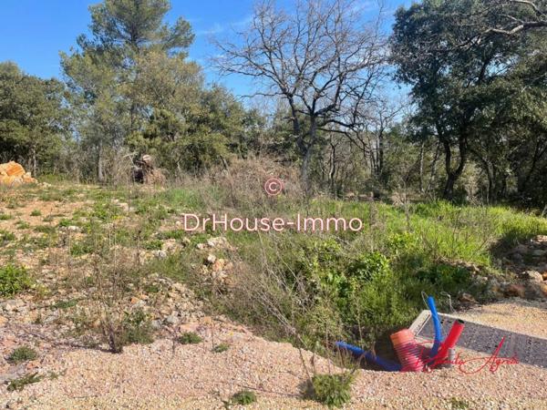 Terrain à vendre de 7 807 m²