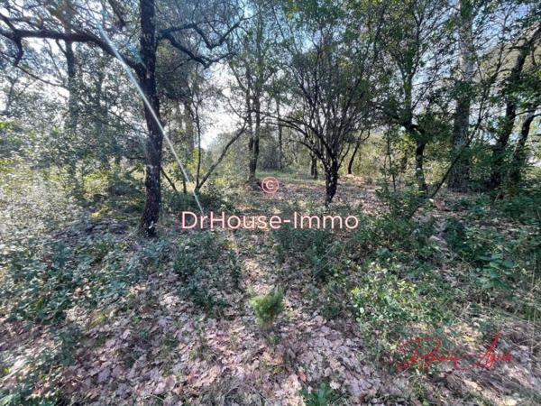 Terrain à vendre de 7 807 m²