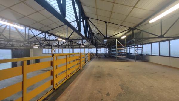 local d activité - 1017m²