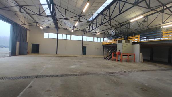 local d activité - 1017m²