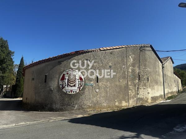 MAISON À VENDRE DE 11 PIÈCES DE 399,00 M²