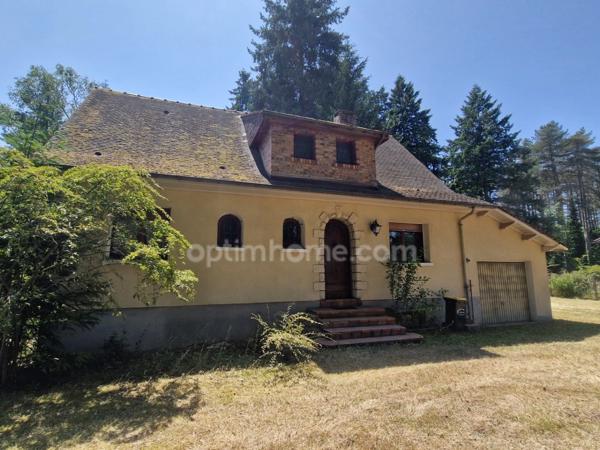 Maison avec grand terrain arboré à ARDON (45)