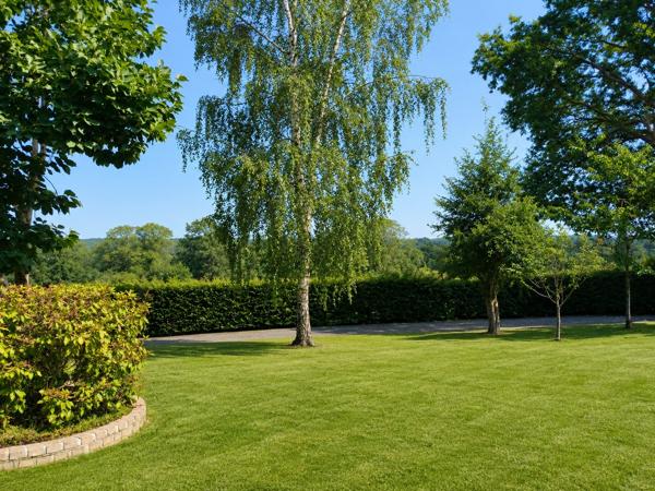 Chalet à vendre à Saint-Pois (50670) - Manche