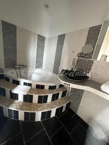 Propriete à vendre 25 pièces proche de POITIERS (86)