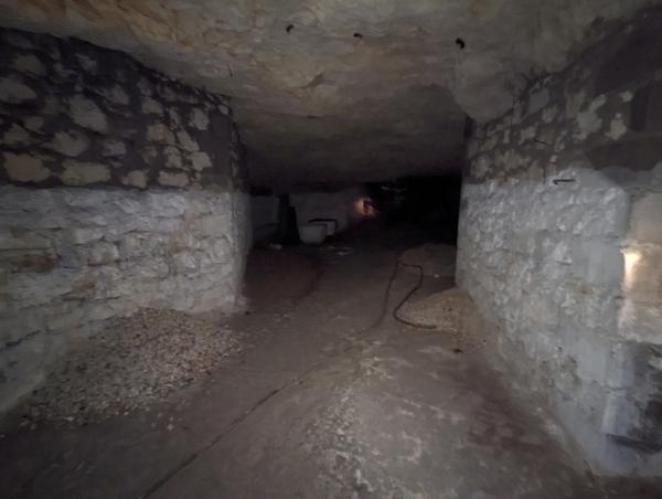 Immeuble à vendre |  Langeais |  600 m²