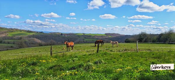 Authentique corps de ferme du Ségala avec cour intérieure – 6 hectares – potentiel gîtes exceptionnel