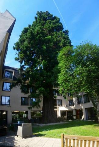 INVESTISSEMENT LOCATIF – Châtenay-Malabry – Résidence EHPAD Le Séquoia - 6,68 % de rentabilité