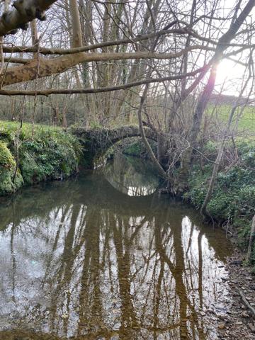 Grande maison basque sur parcelle de 15.000 m2