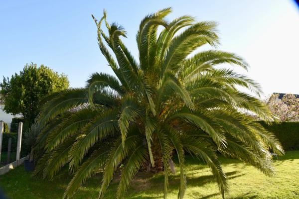 Maison 4 pièces - 100 m2 - BERNIERES SUR MER (14)