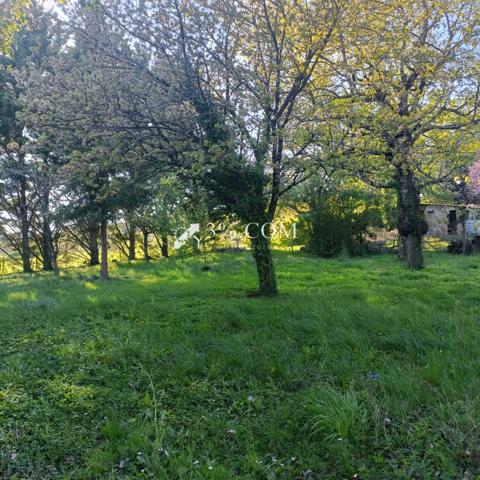 Terrain Constructible Beaumont saint-cyr (86490)