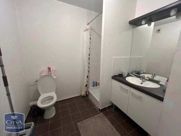 Appartement à louer 1 pièce 20.76m² Villeurbanne (69100)