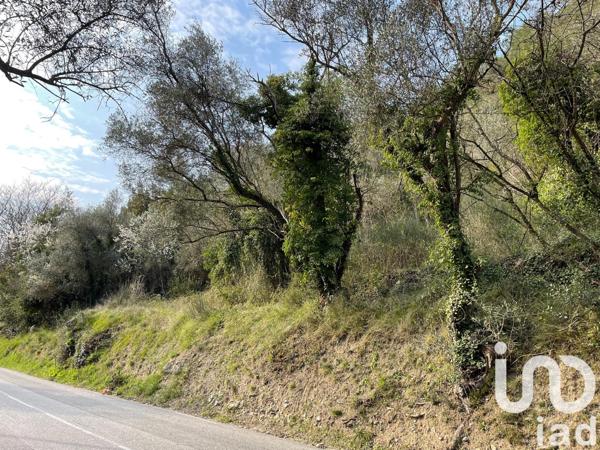 Terrain à vendre 6 211 m² La Trinité