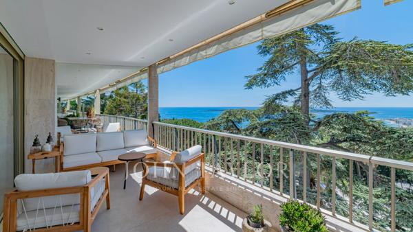 Cannes Californie - vue panoramique