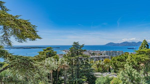 Cannes Californie - vue panoramique