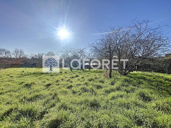 Achat terrain Val en Vignes - 785 m² - 14 540 €