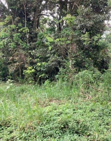 TERRAIN PROCHE DE TOUTES COMMODITES