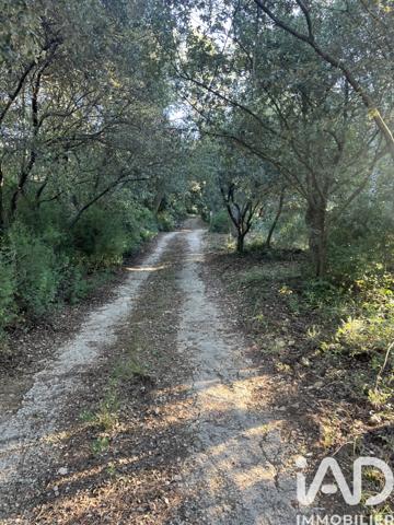 Terrain à vendre 9 000 m² Carnoules