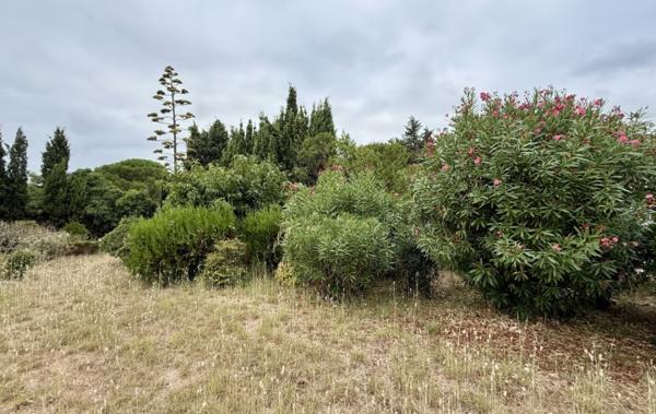 Vente Terrain Constructible Pezenas   