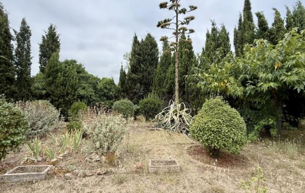 Vente Terrain Constructible Pezenas   