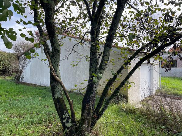 A 5min de Rochefort : Echillais terrain à bâtir viabilisé de 653 m2 avec garage de 45 m²