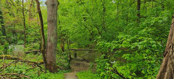 À Combs-la-Ville – Bel Appartement 3 pièces de 66 m² dans belle résidence arborée, au dernier étage (4/4) avec parking couvert et cave