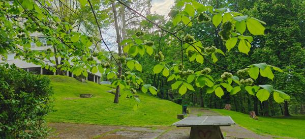 À Combs-la-Ville – Bel Appartement 3 pièces de 66 m² dans belle résidence arborée, au dernier étage (4/4) avec parking couvert et cave