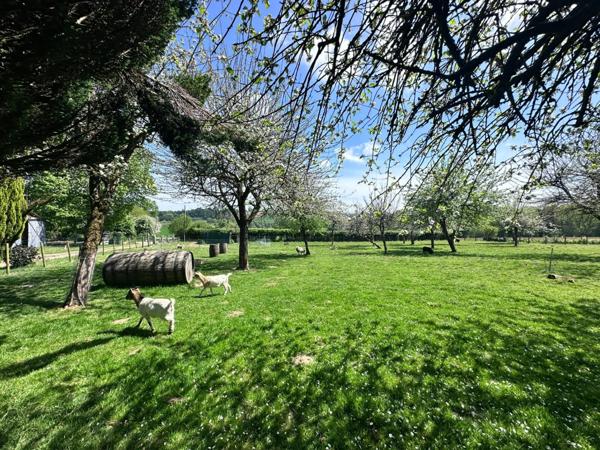 Maison en pierre de 244 m2 habitables avec chambres d'hôtes et 8500 m2 terrain à vendre CHAMP DU BOULT (14)