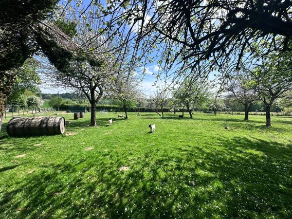 Maison en pierre de 244 m2 habitables avec chambres d'hôtes et 8500 m2 terrain à vendre CHAMP DU BOULT (14)