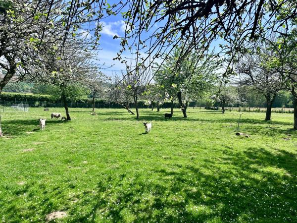 Maison en pierre de 244 m2 habitables avec chambres d'hôtes et 8500 m2 terrain à vendre CHAMP DU BOULT (14)