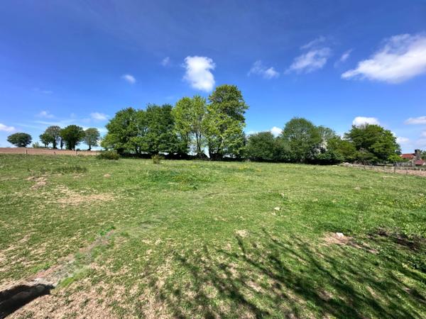 Maison en pierre de 244 m2 habitables avec chambres d'hôtes et 8500 m2 terrain à vendre CHAMP DU BOULT (14)