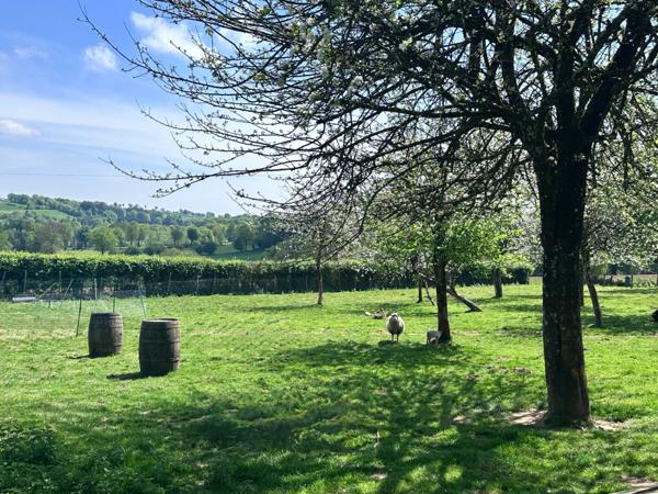 Maison en pierre de 244 m2 habitables avec chambres d'hôtes et 8500 m2 terrain à vendre CHAMP DU BOULT (14)