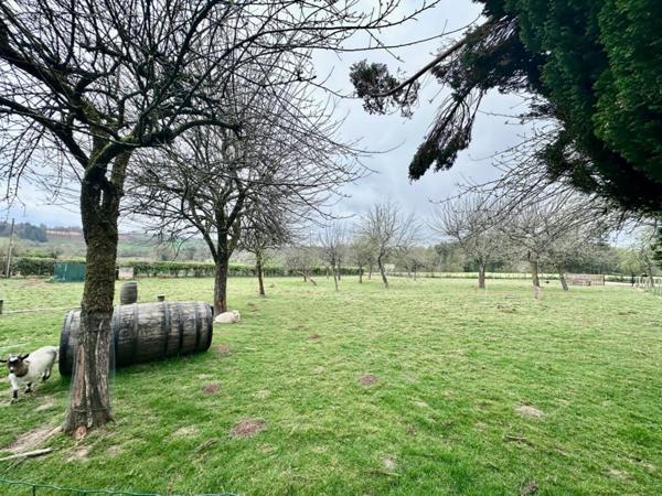 Maison en pierre de 244 m2 habitables avec chambres d'hôtes et 8500 m2 terrain à vendre CHAMP DU BOULT (14)