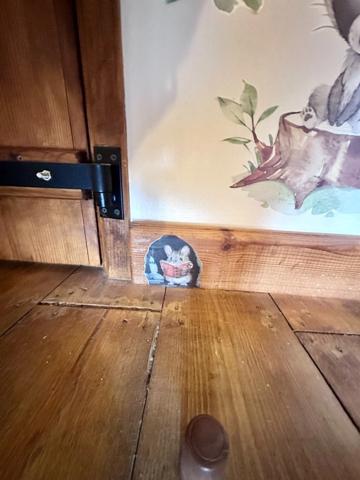 Maison en pierre de 244 m2 habitables avec chambres d'hôtes et 8500 m2 terrain à vendre CHAMP DU BOULT (14)