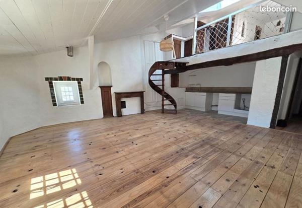 Appartement duplex entièrement rénové