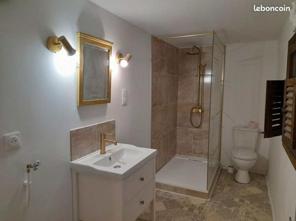 Appartement duplex entièrement rénové