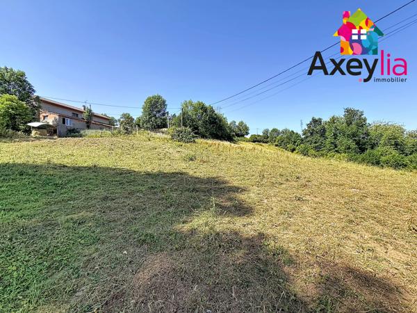 A VENDRE – SECTEUR TARARE / BALBIGNY – ANCIEN CORPS DE FERME + PRÈS DE 17 000 M² DE TERRAIN
