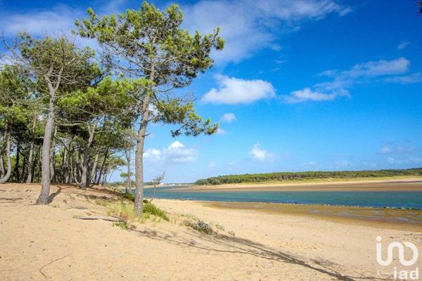 Terrain à vendre 381 m² Talmont-Saint-Hilaire