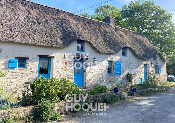 Chaumière 3 chambres + gîte