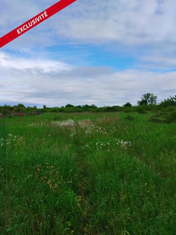 Terrain à NIORT, 79000 - 6350m²