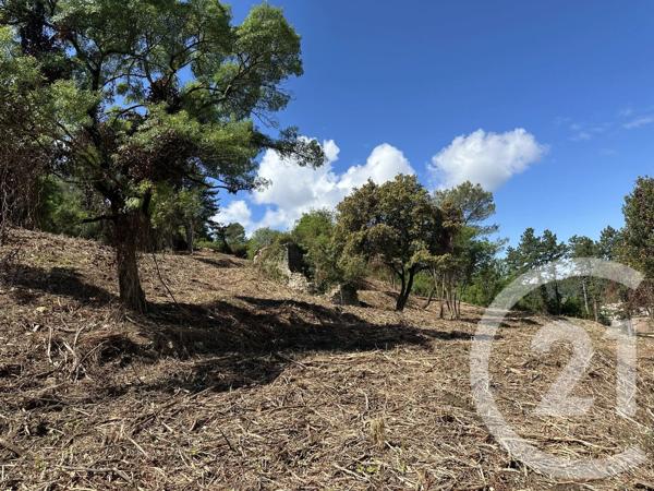 Terrain à vendre  3660 m 2   ALES  - 30