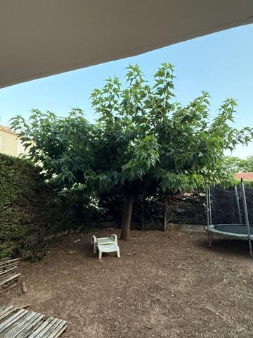 Appartement Carqueiranne 2 pièce(s) 52.95 m2