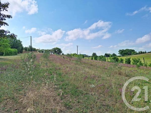 Maison à vendre  11 pièces - 253 m 2   LAVAUR  - 81