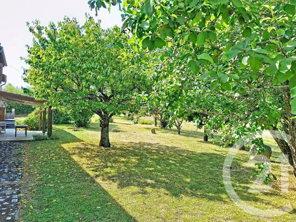 Maison à vendre  11 pièces - 253 m 2   LAVAUR  - 81